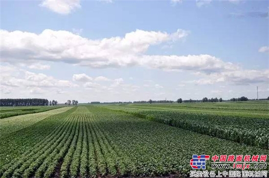 生物复合肥制备 让秸秆“变废为宝”