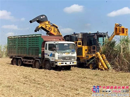 柳工甘蔗收獲機挺進柬埔寨市場 再獲一筆出口大單！ 