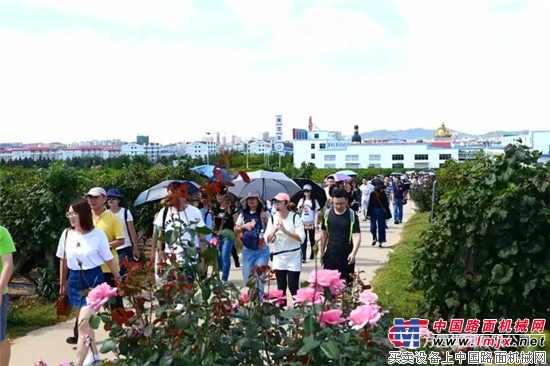 游客走进工业旅游 葡萄架下品硕果