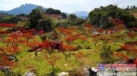 中联环境与连平县住建局签订“连平县城乡环卫一体化PPP项目”合作协议